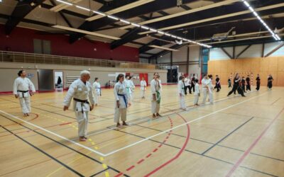 Entrainement commun Kung-fu et Karaté, 26/01/26